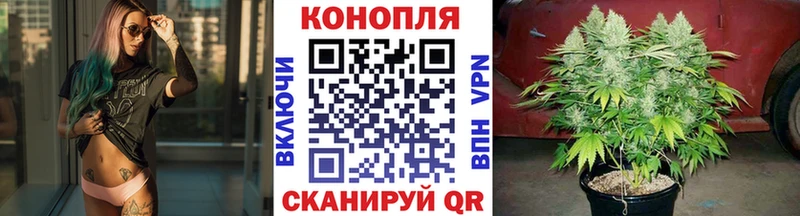 Купить закладку ГАШ АМФ APVP Меф COCAIN Новая Ладога