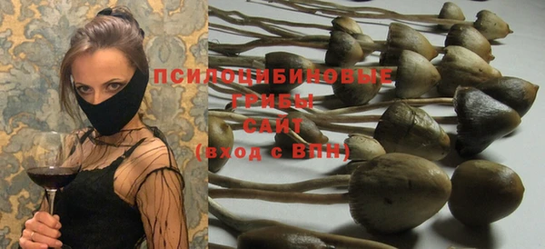 ПСИЛОЦИБИНОВЫЕ ГРИБЫ Иноземцево