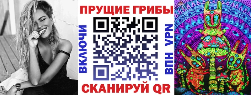 Купить где  Новая Ладога  Галлюциногенные грибы ЛСД 